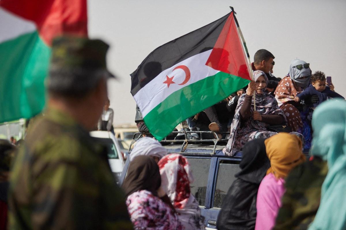 Solidaridad con el pueblo saharaui